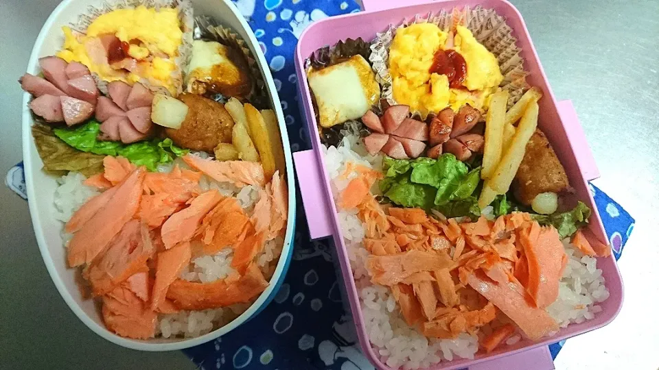 Snapdishの料理写真:娘ちゃん弁当|ユカリンさん