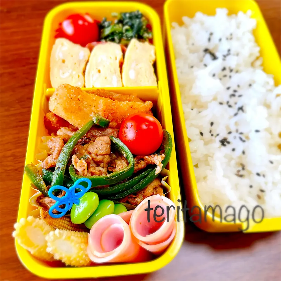 お弁当|teritamagoさん