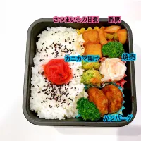 Snapdishの料理写真:2020.11.13.パパお弁当|naouka0509さん