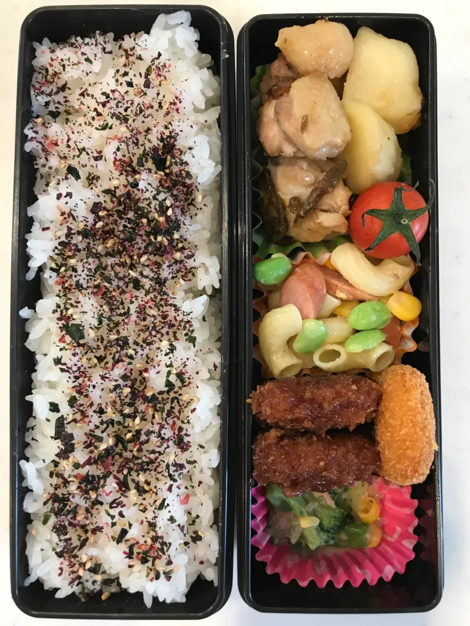 2020.11.13 (金) パパのお弁当🍱|あっきーよさん