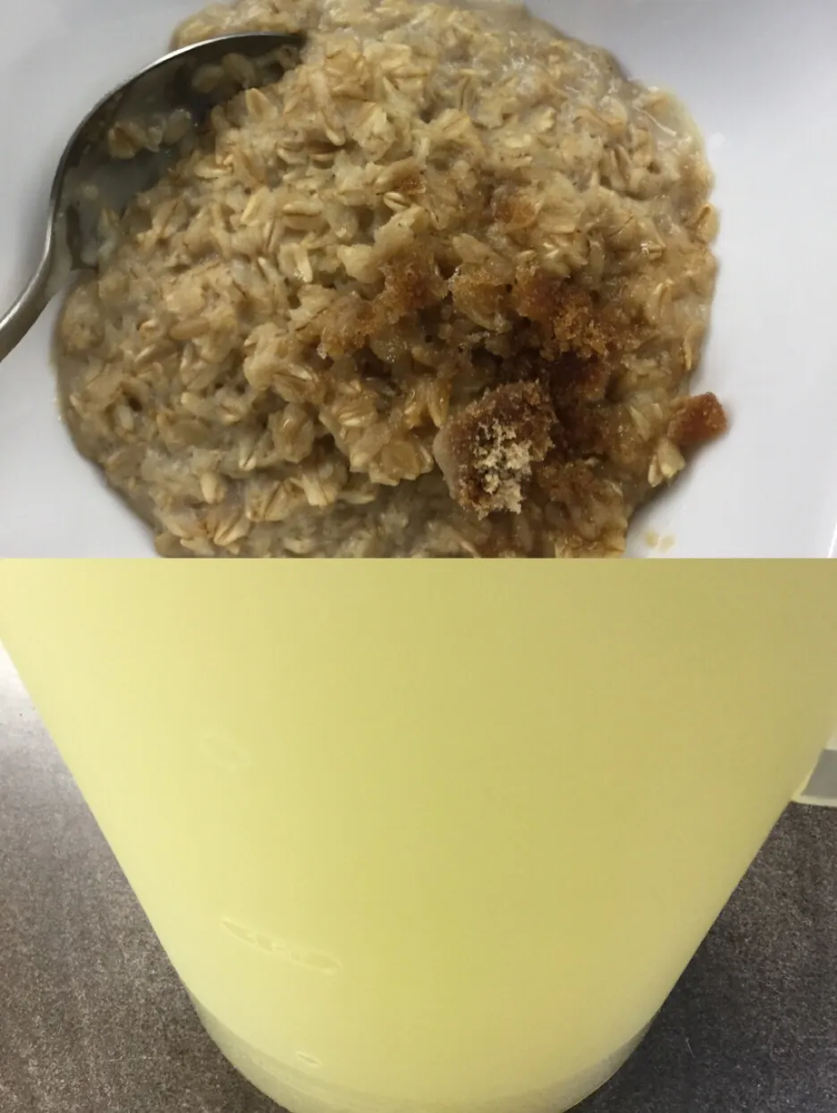 Porridge and a homemade lemonade with lemon juice and water and sugar|ninja kittyさん