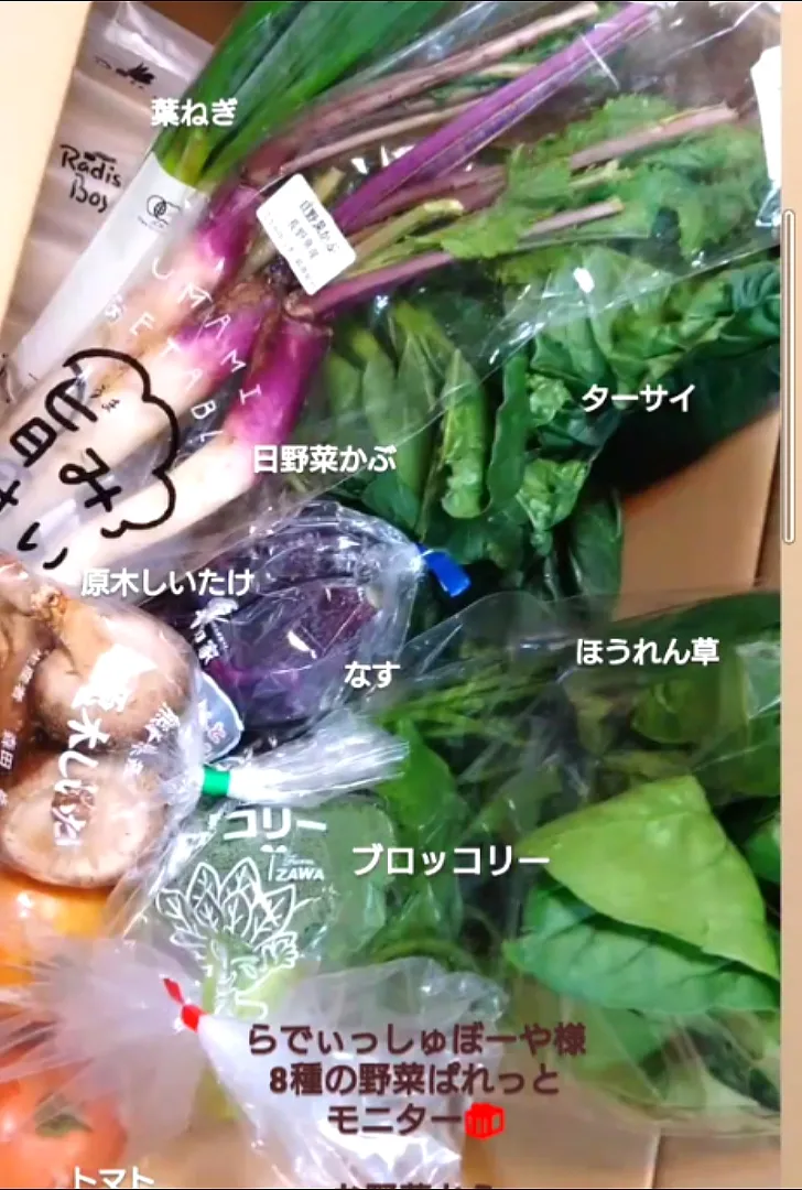 らでぃっしゅぼーや8種の野菜ぱれっと♡|fumiさん