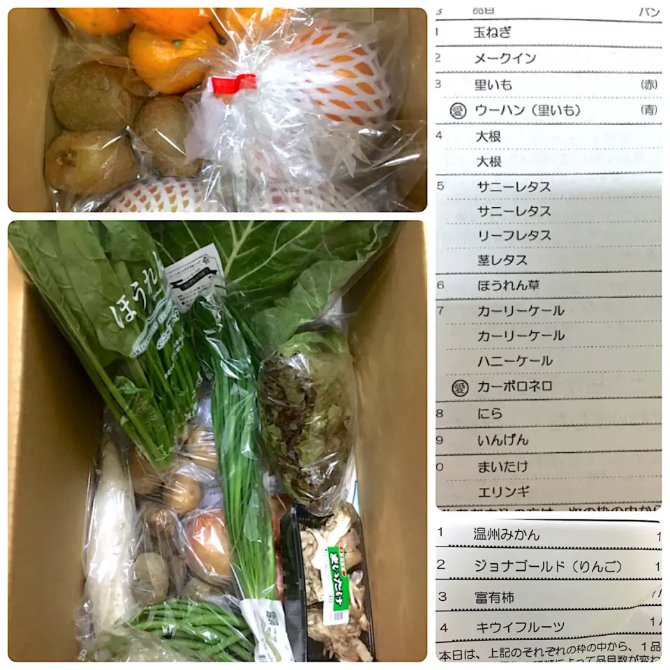 らでぃっしゅぼーや🍅今週のぱれっと|izumiさん