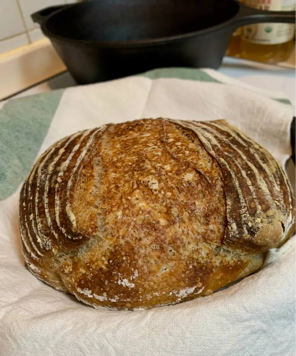 Snapdishの料理写真:Rustic Whole Wheat Cardamom Sourdough Bread (pic 1)|gonbenさん