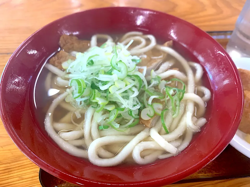 じゃこ天うどん|ぶりっとさん