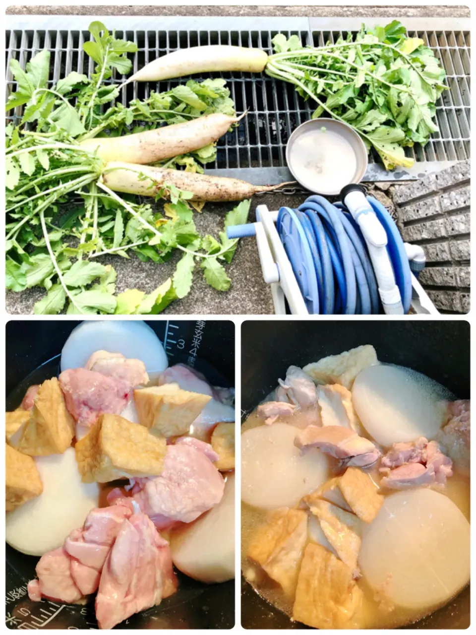 Snapdishの料理写真:炊飯器で大根の炊いたん😊大きな大根を３本頂き早速、冷凍鶏肉と揚げ、これ！うま！つゆで放置調理😄犬の散歩から戻ると大根がやわやわで完成👍|海斗さん