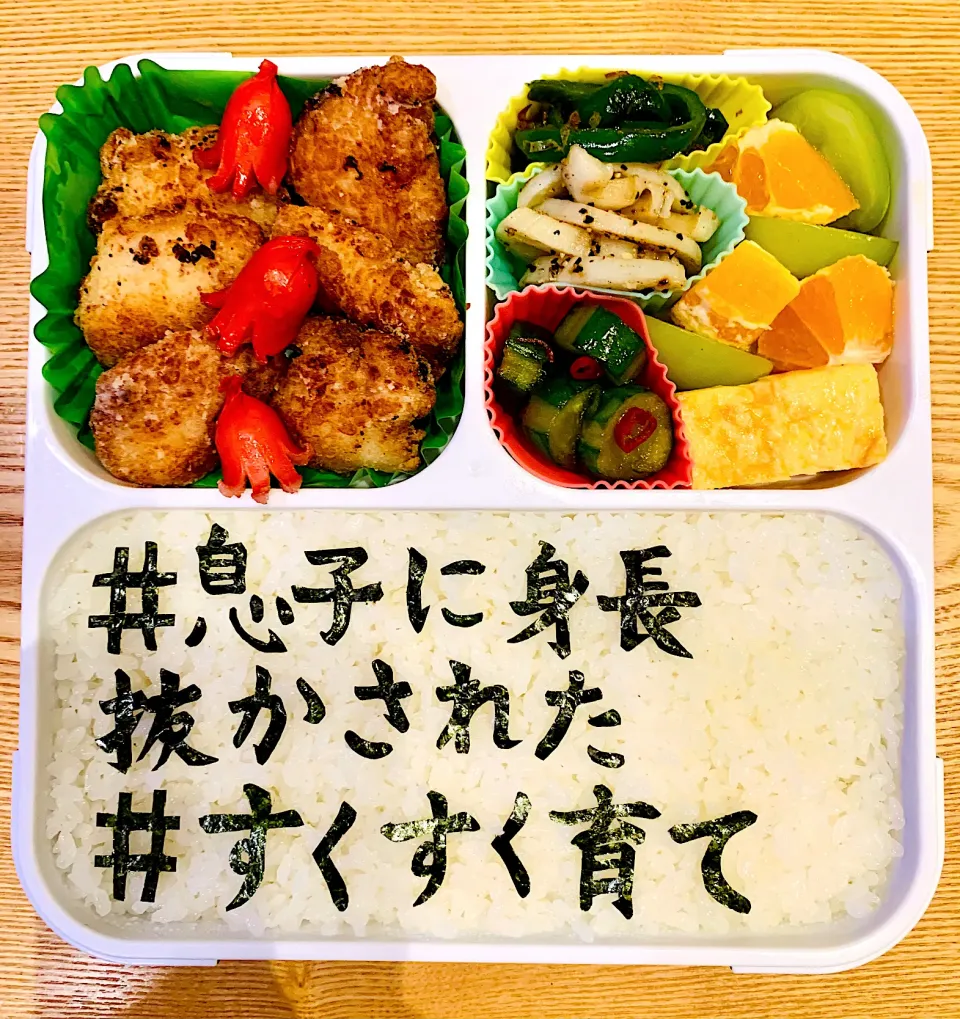 本日のお弁当|お弁当日記さん