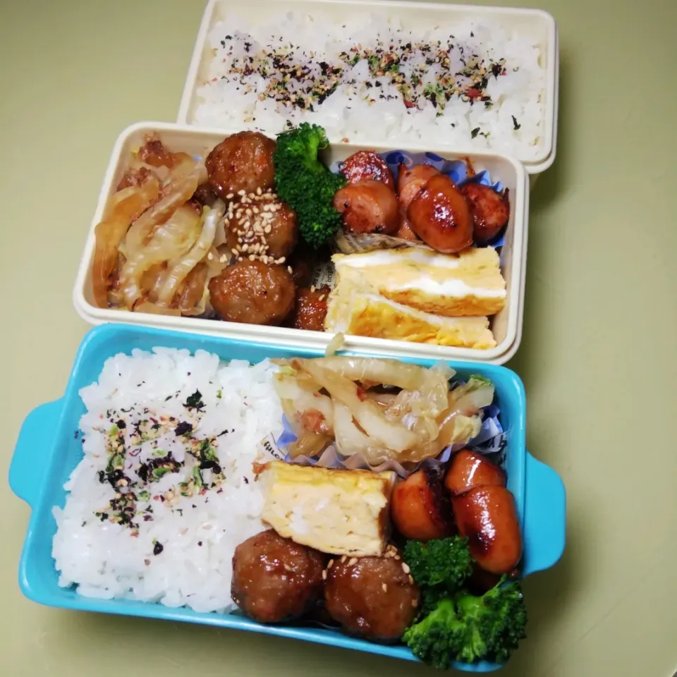 Snapdishの料理写真:11/16 父娘弁当|けろよんさん