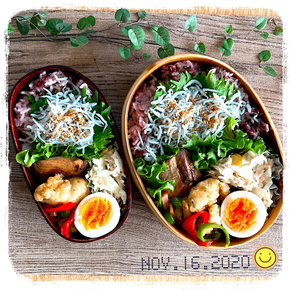 Snapdishの料理写真:11/16 ☺︎☺︎ ブリ照り焼き弁当✩.*˚|jon2さん