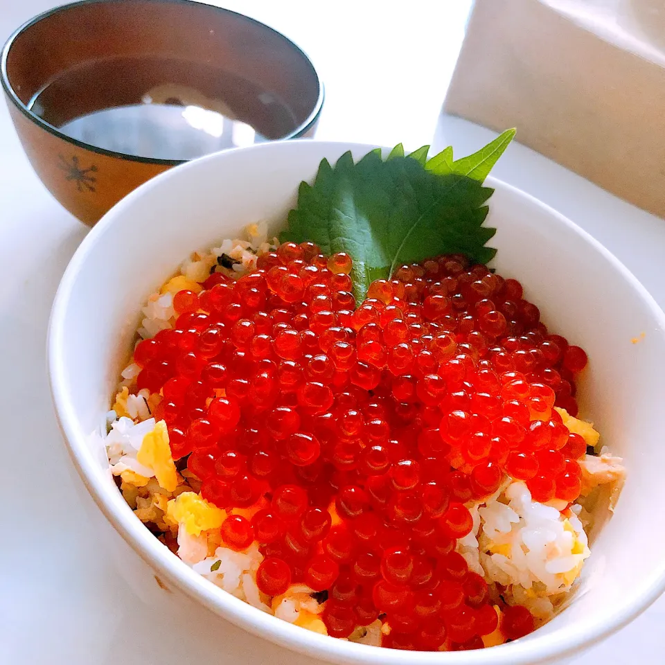 Snapdishの料理写真:親子丼🐟|もやぴさん