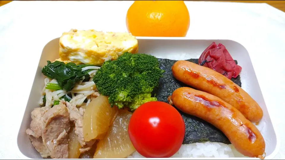 11/17のお弁当🍱
海苔弁当|卯月さん