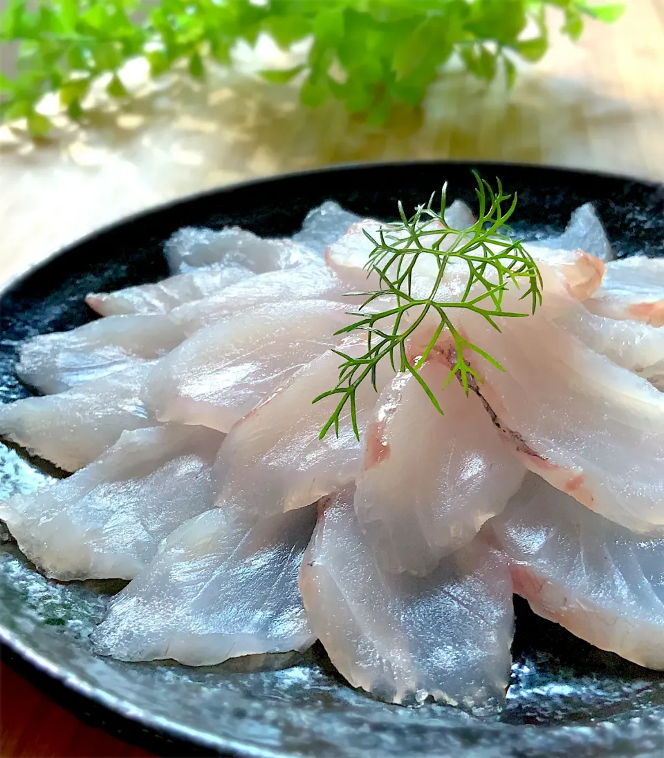 釣り魚🐟トウジン(ゲボウ)の刺身|9421beruさん