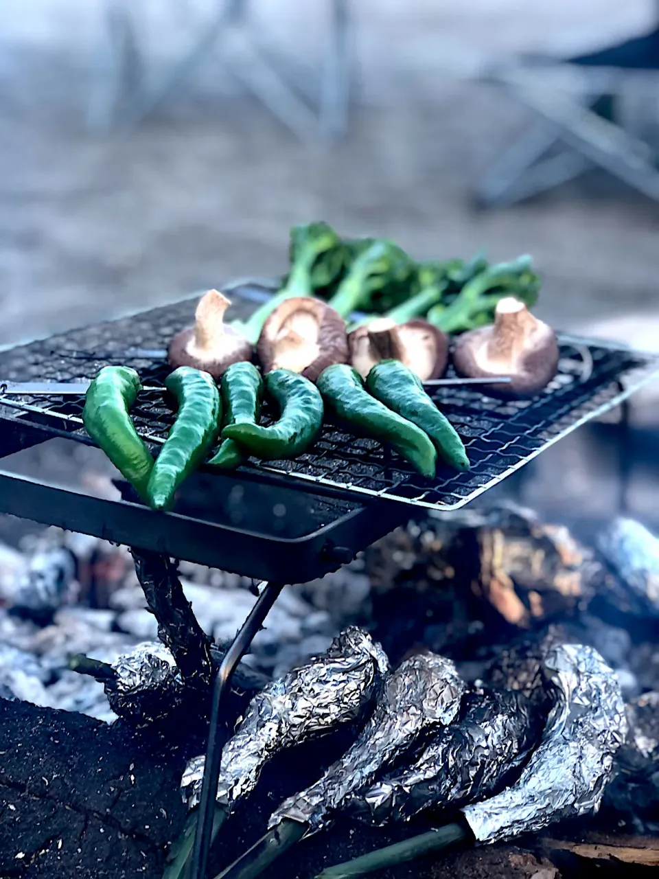 海キャンプ♪ 色々野菜焼き|ちーちさん