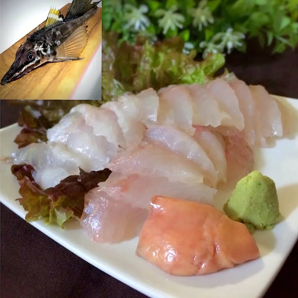 北海道の珍魚 八角の刺身|パパ氏さん