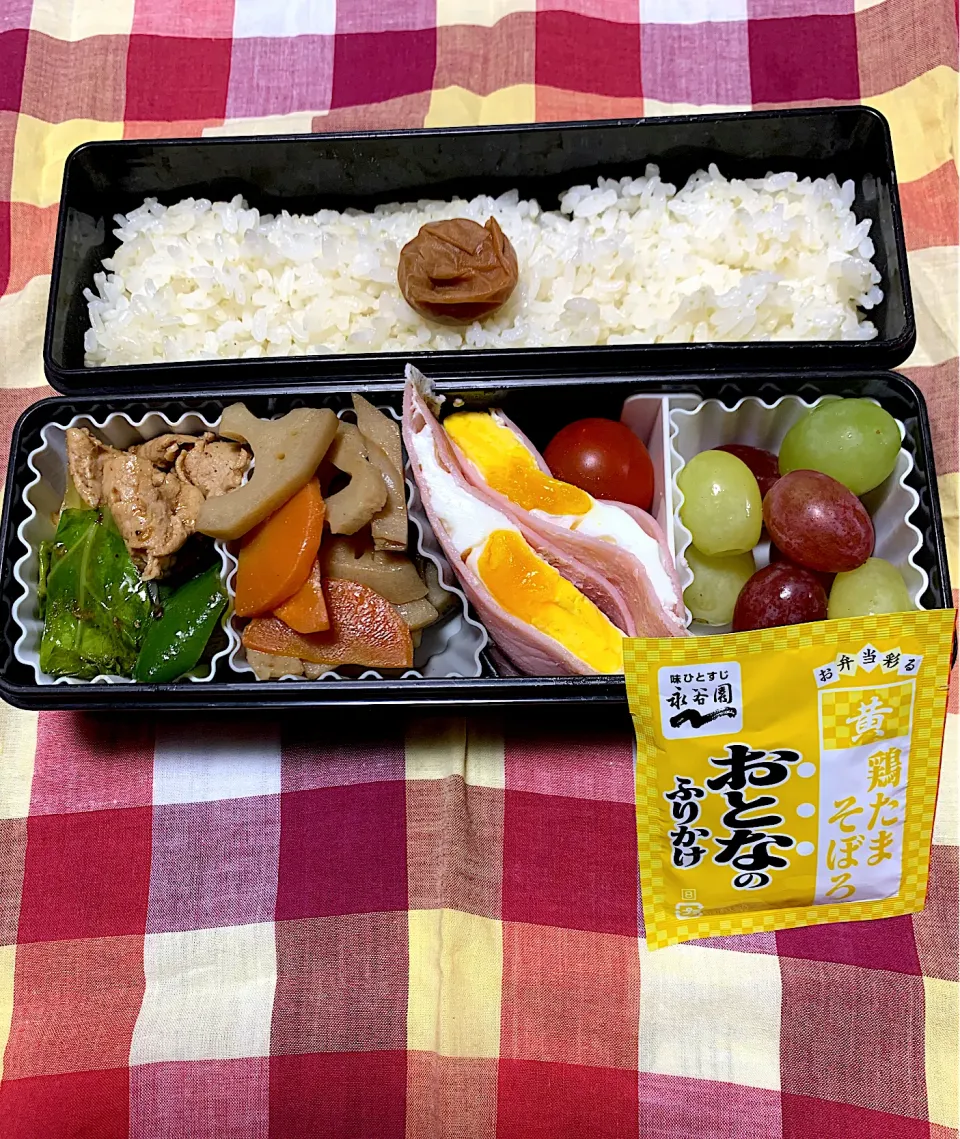 Snapdishの料理写真:娘のお弁当11/19|iguigupopさん