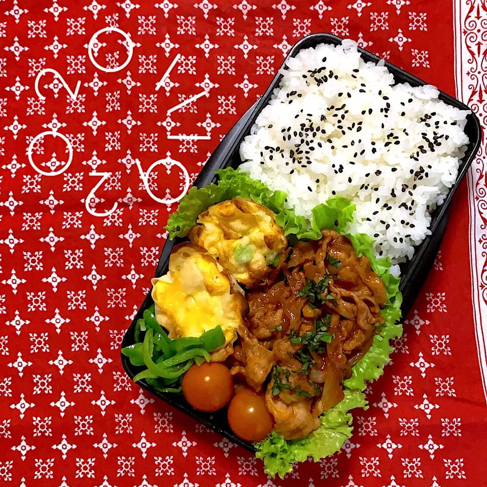 Snapdishの料理写真:高校男子弁当2020.11.19|shiho’s kitchenさん