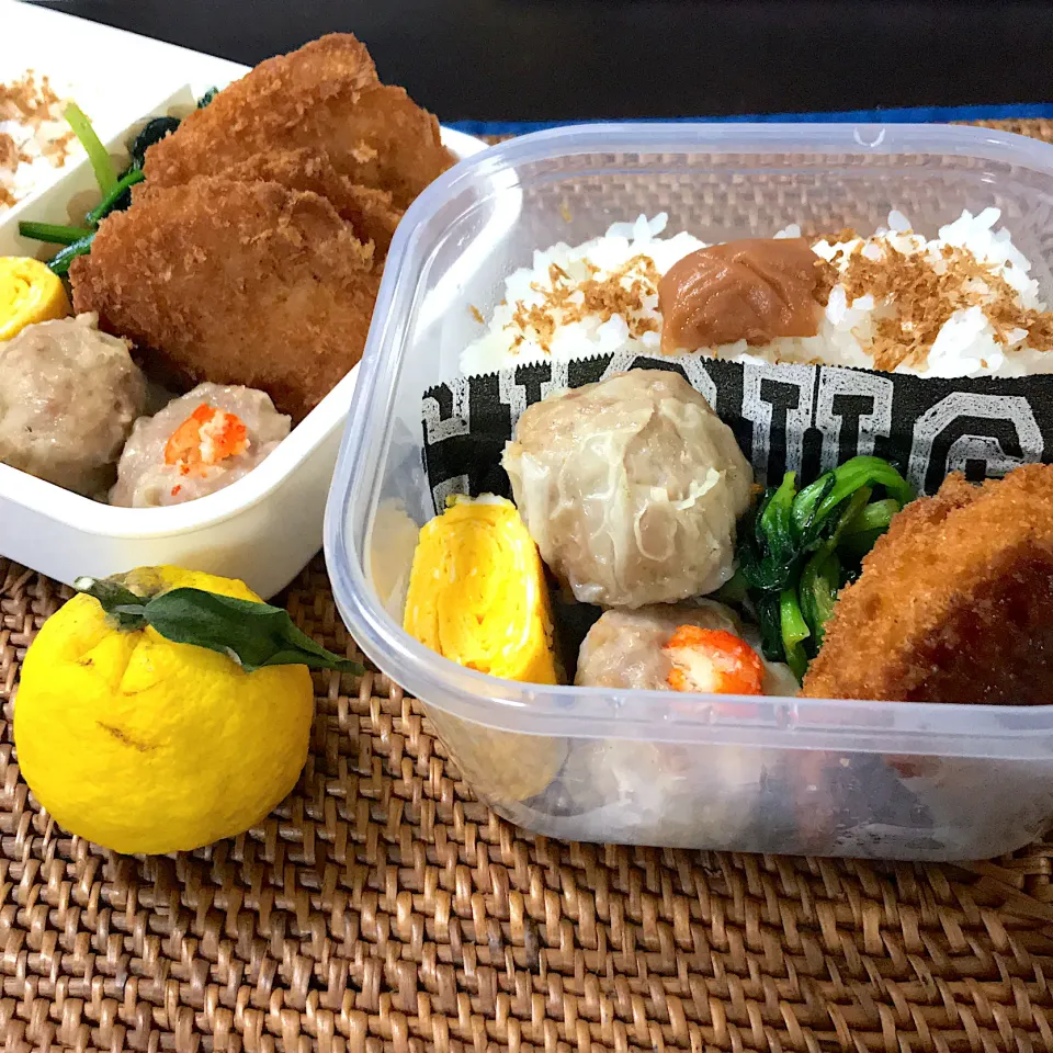 おじさん弁当🍱＆おばさん弁当🍱　　☆ Nov.20.2020 ☆|ニャン太郎さん