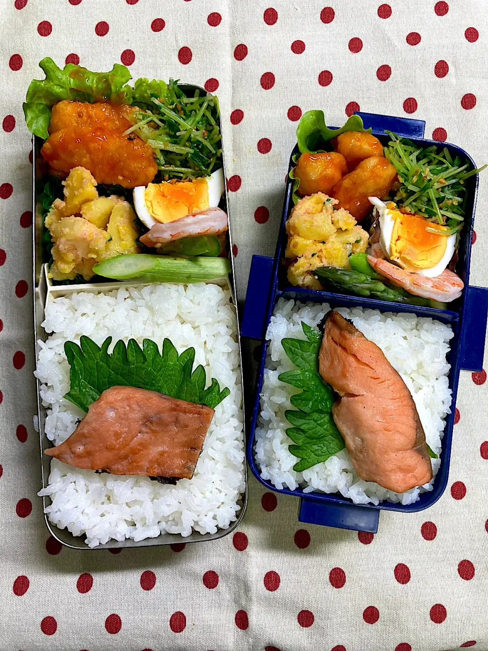 Snapdishの料理写真:11月20日　週末弁当🍱|sakuramochiさん