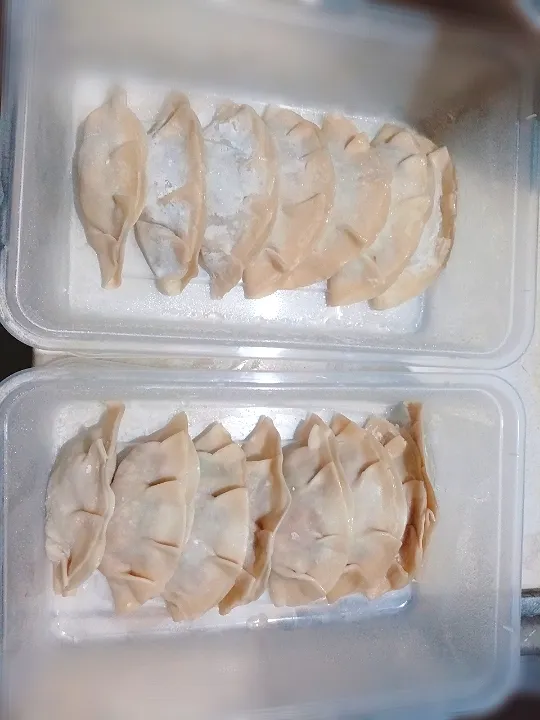 Snapdishの料理写真:Frozen gyoza|Mollyさん