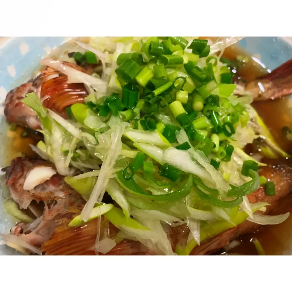 清蒸魚🐟|HALさん