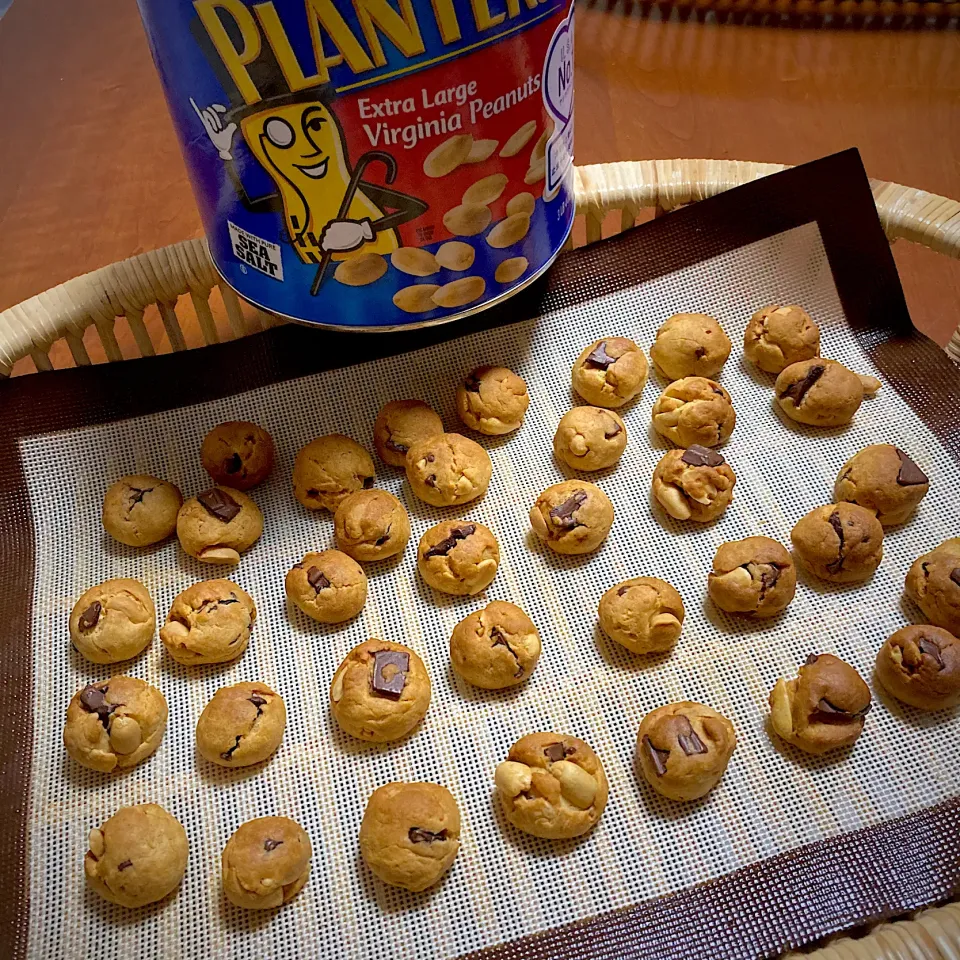 チョコPクッキー🍪🥜#ひとくちサイズ#クッキー#ブラックチョコレート#ピーナッツ#ポリポリ#ミニミニクッキー|ももさん