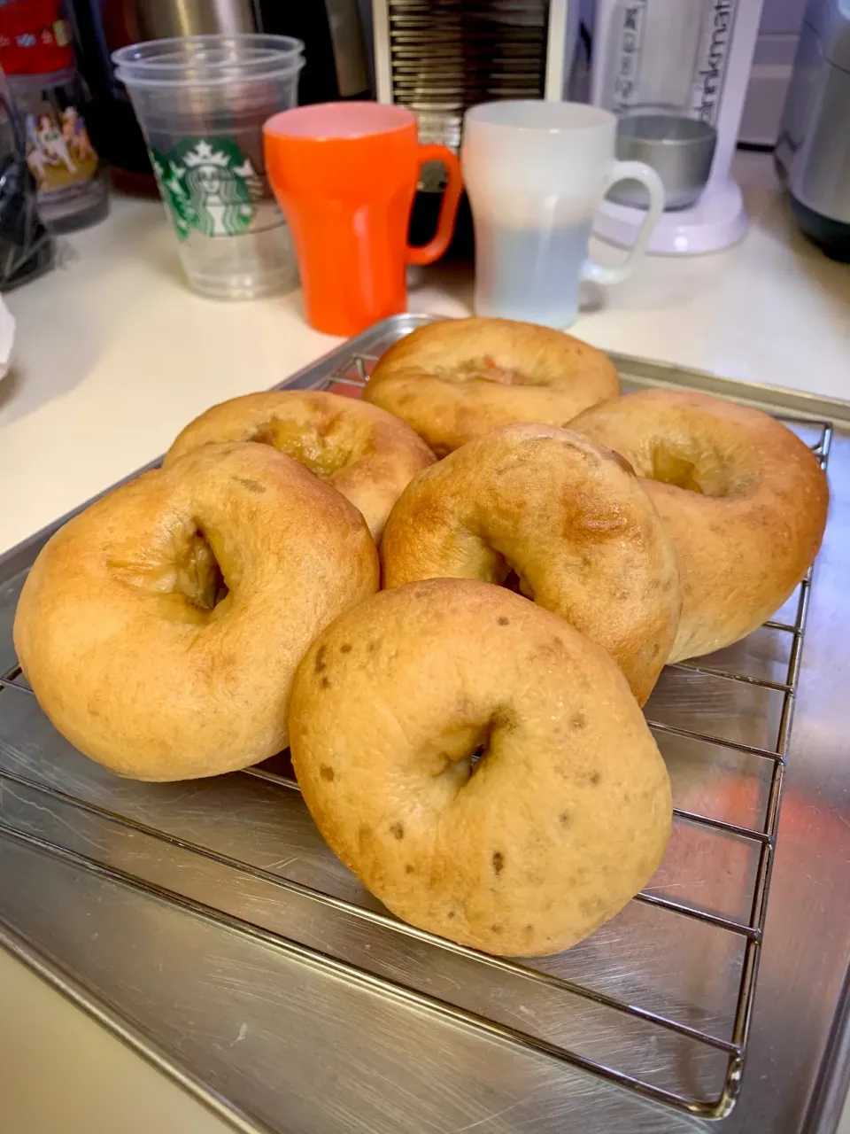 Sourdough Bagels (caraway carrot &  garlic fried onion)|gonbenさん