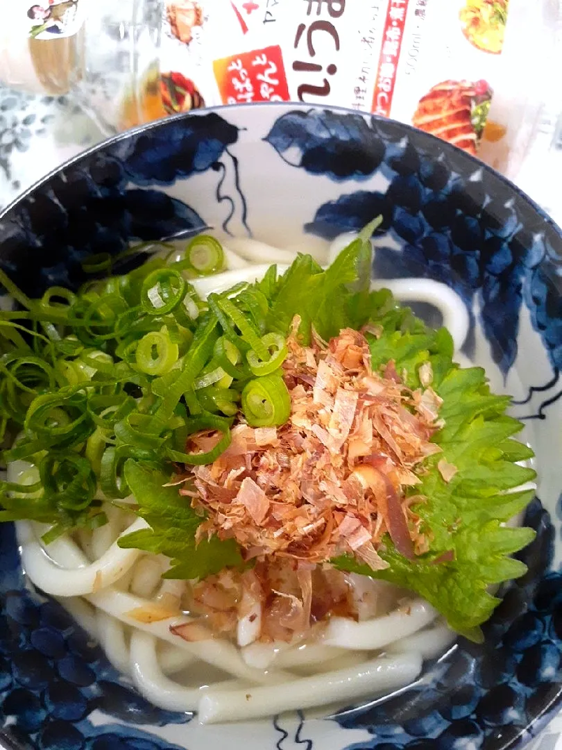 Snapdishの料理写真:🔷業スーうどんde九条ねぎかけうどん🍜🔷飲んだ締めに🤭|@きなこさん