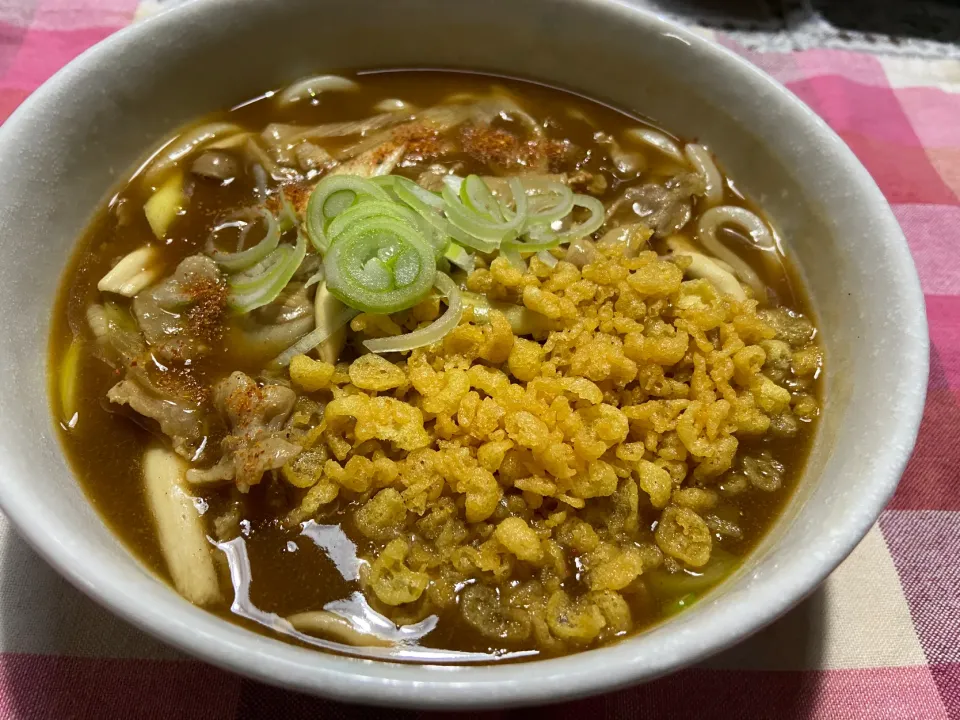 カレーうどん|ハルのただ飯さん