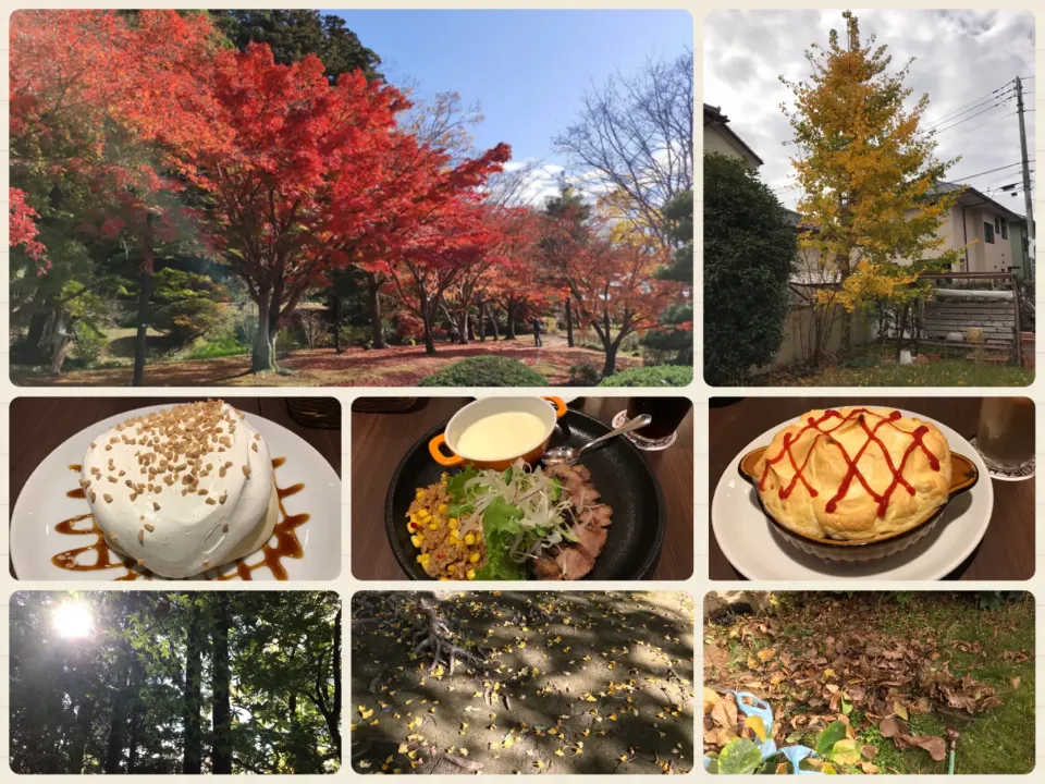 Snapdishの料理写真:🍁紅葉狩り～からの3連休🍁まったり。|まなまな♡さん