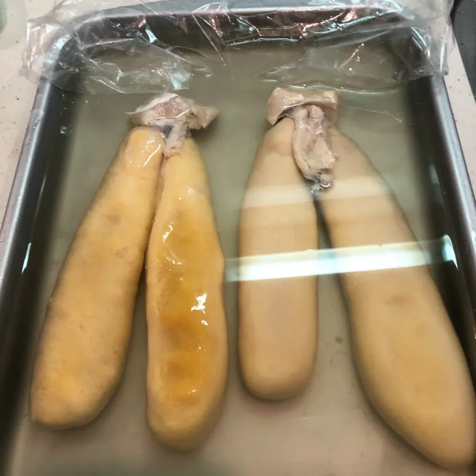 Snapdishの料理写真:からすみ日誌　11日目　酒漬け|Yossarianさん