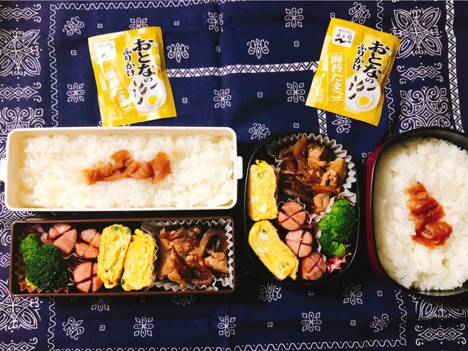 Snapdishの料理写真:2020/11/19(木) 夫弁当＆娘弁当🎵|kiyominさん