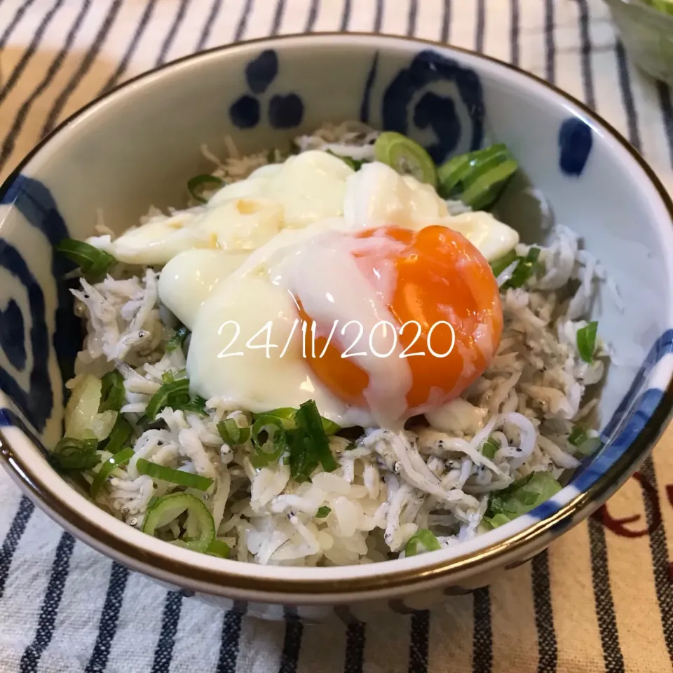 しらす丼|友さん