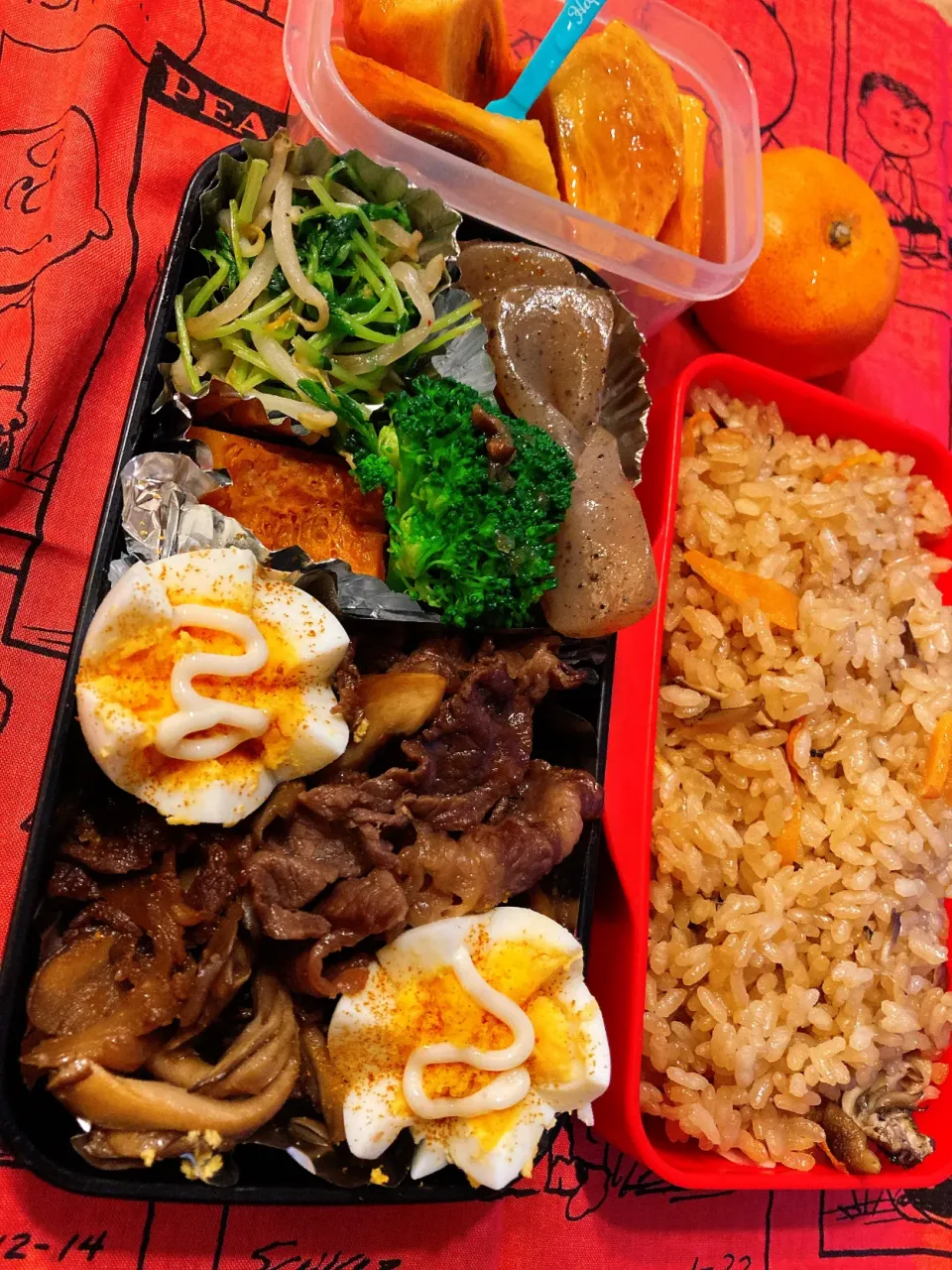 Snapdishの料理写真:男子高校生弁当🍱|y.ujico☘さん