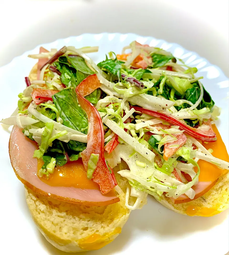 Ham, Cheddar Cheese and Veggies Open-Faced Sandwiches|gonbenさん