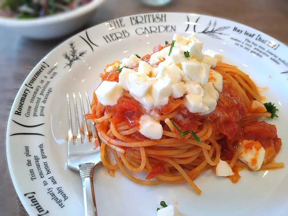 モッツァレラとろけるトマトソーススパゲティ|古尾谷りかこさん