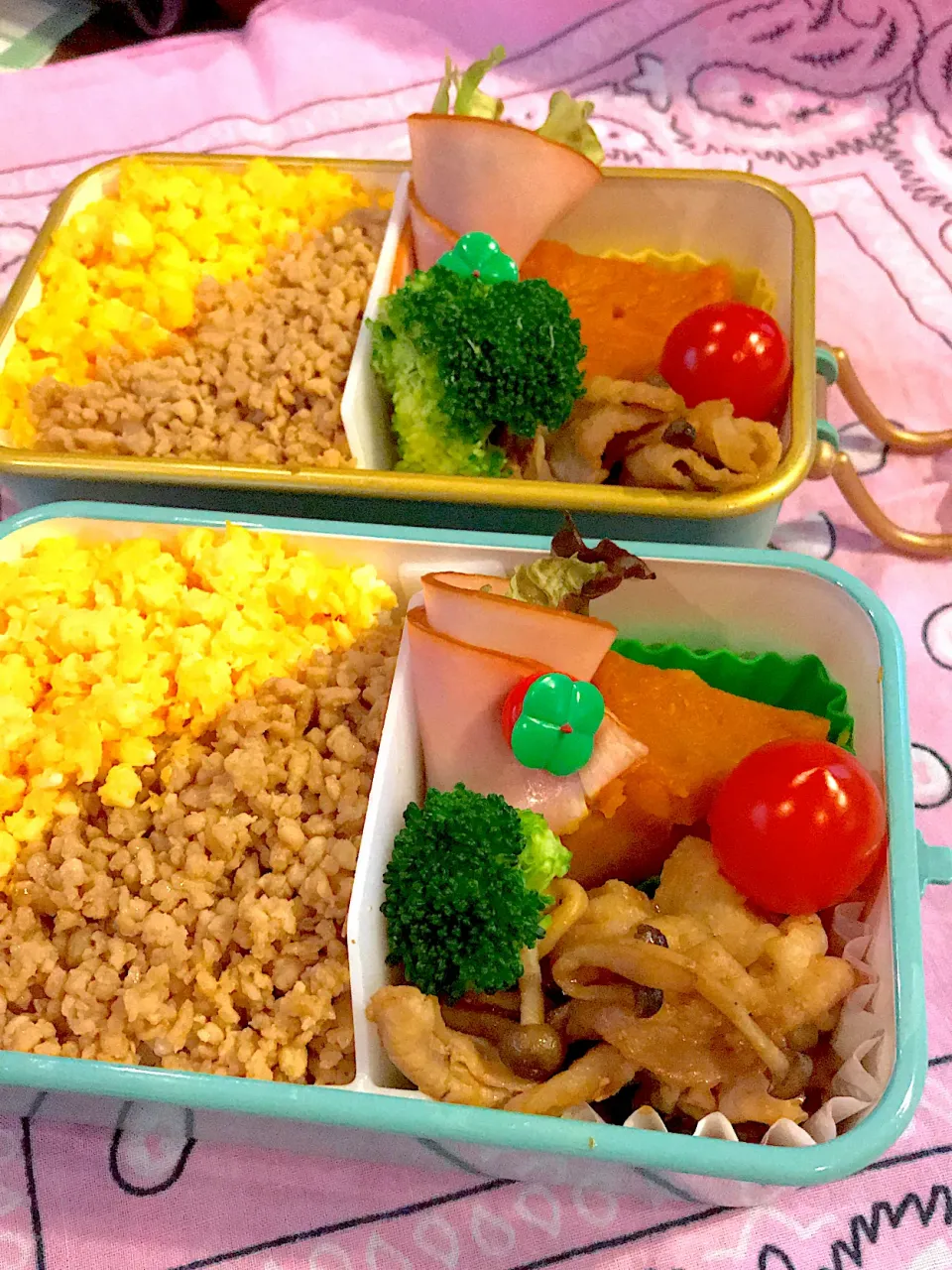 Snapdishの料理写真:2020.11.26  JK＆自分弁当～鶏そぼろ🎶|rinrin*mama*さん