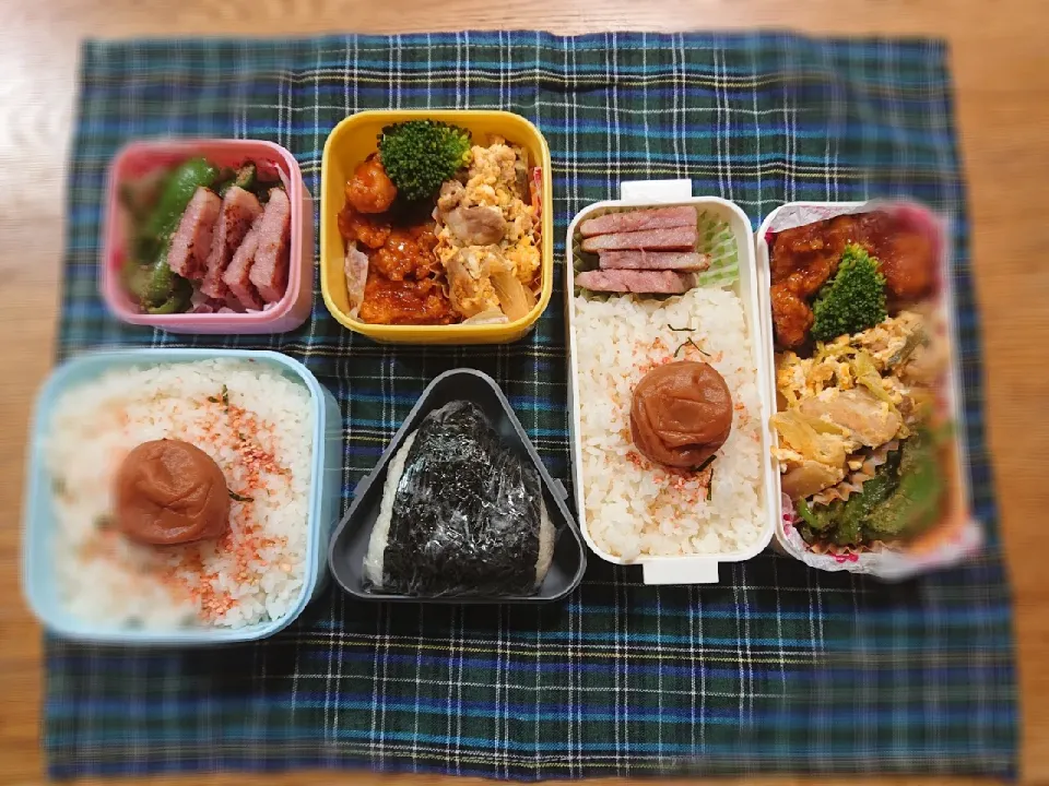 今日のお弁当|ゆずうさぎさん