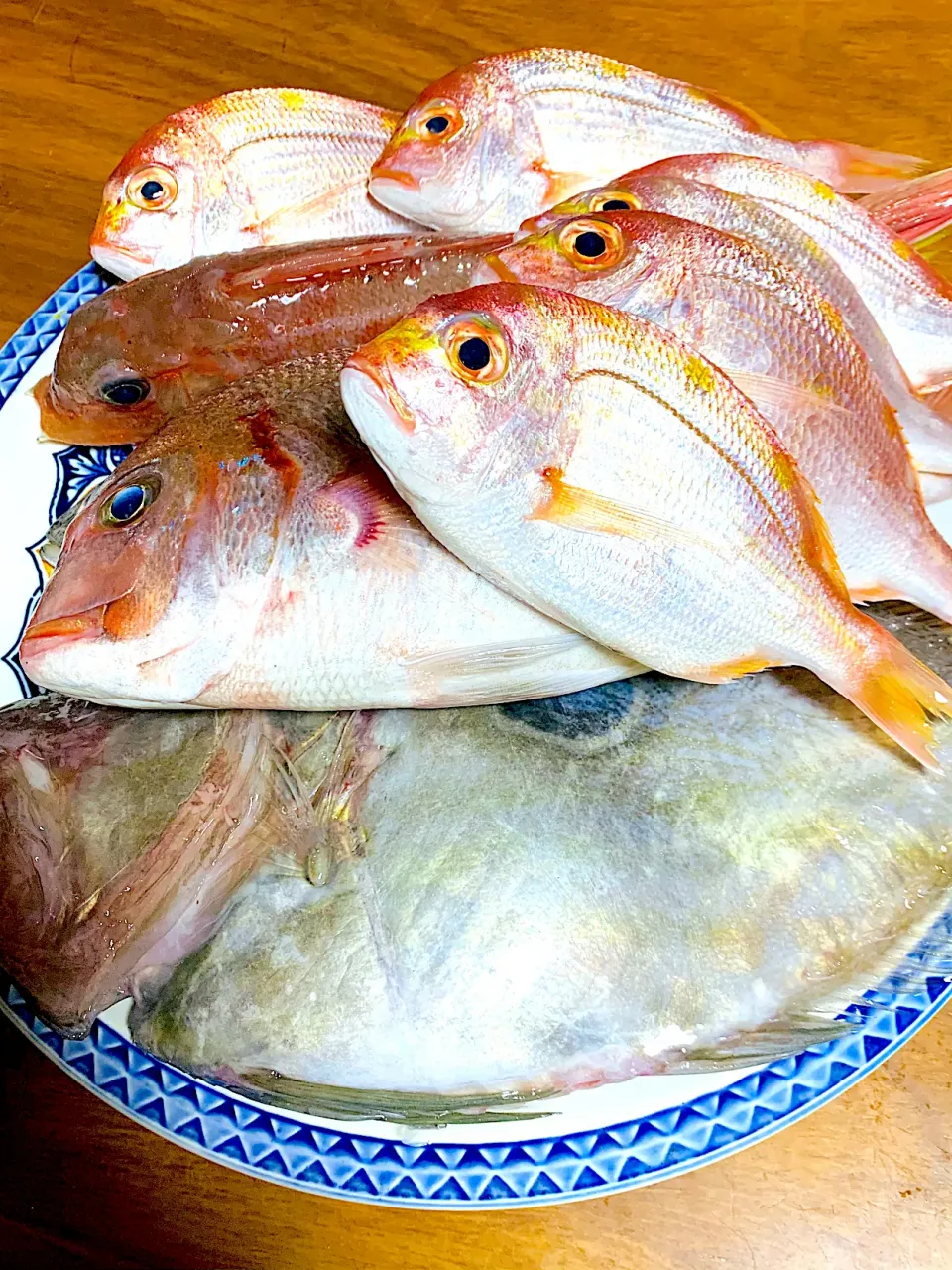 焼きに、煮付け、刺身^_^頂き物^_^頑張ります。|きよっさんさん