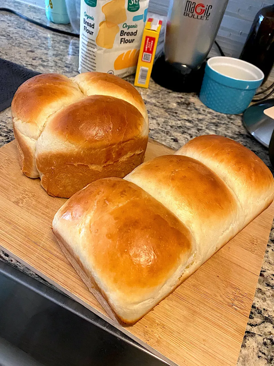 Tangzhong milk bread🍞🥛 |にゃんこさん
