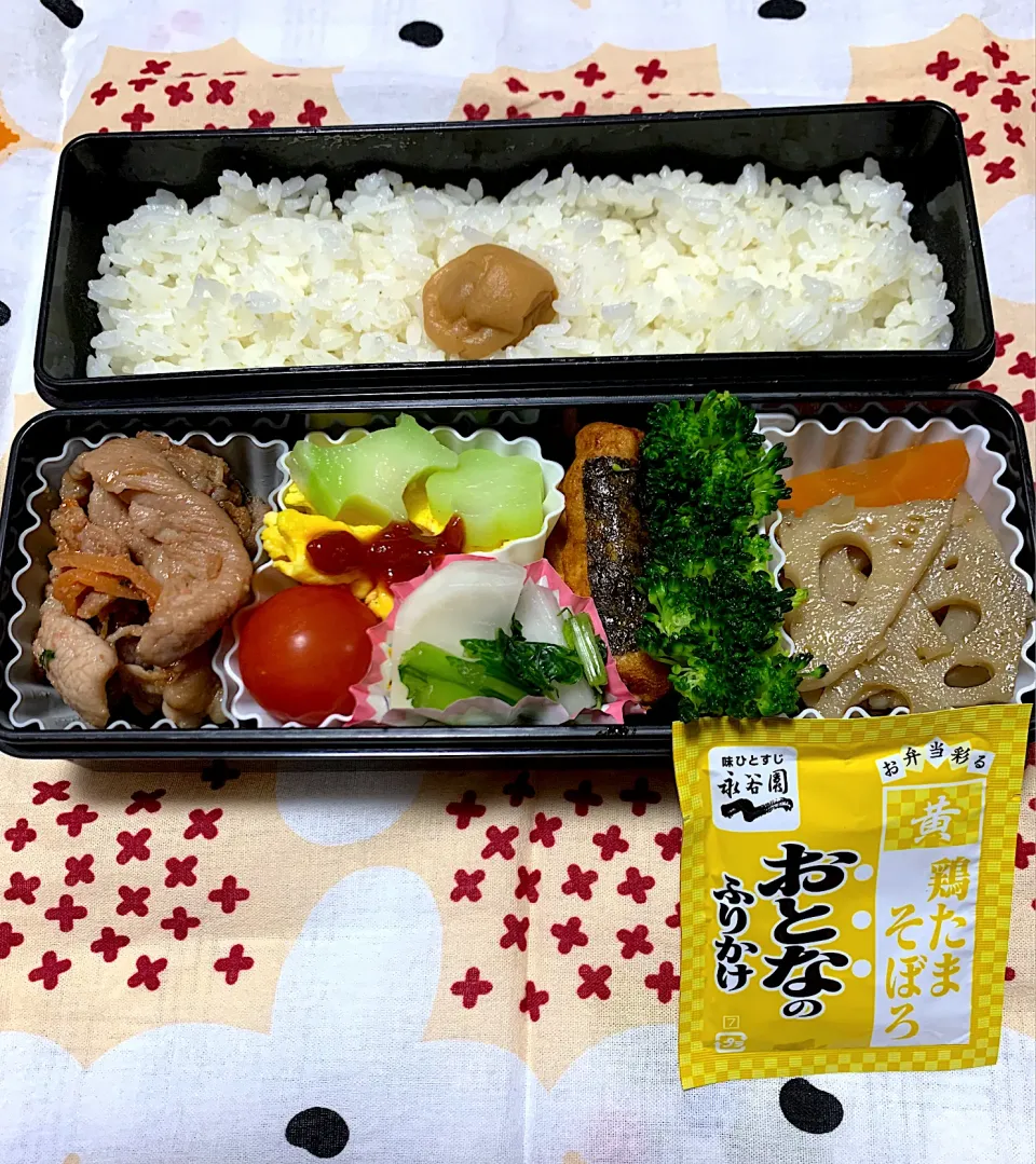 Snapdishの料理写真:娘のお弁当11/27|iguigupopさん