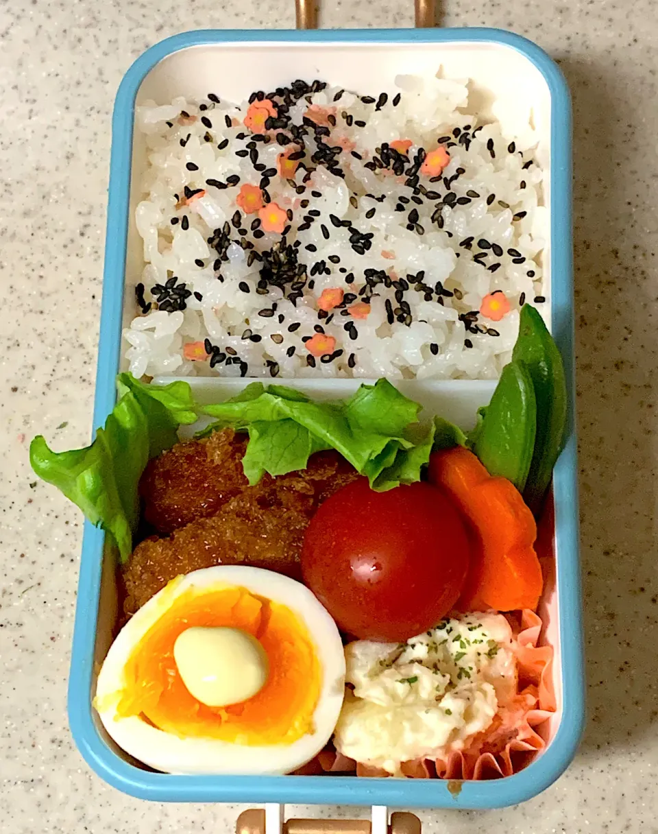 Snapdishの料理写真:甘辛チキンカツ弁当|besさん