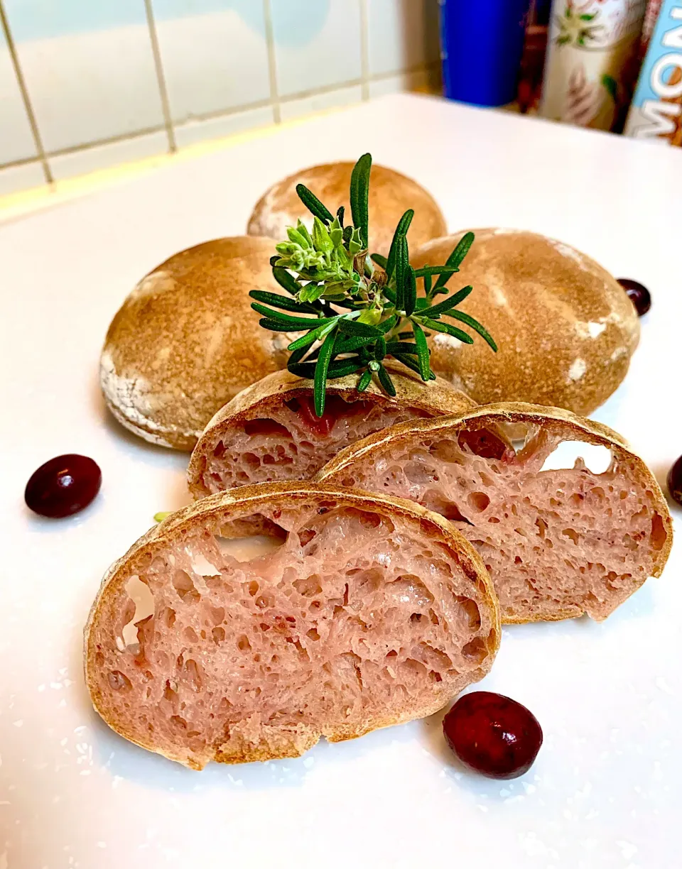 Snapdishの料理写真:Cranberry and Rosemary Sourdough Ciabatta Rolls|gonbenさん