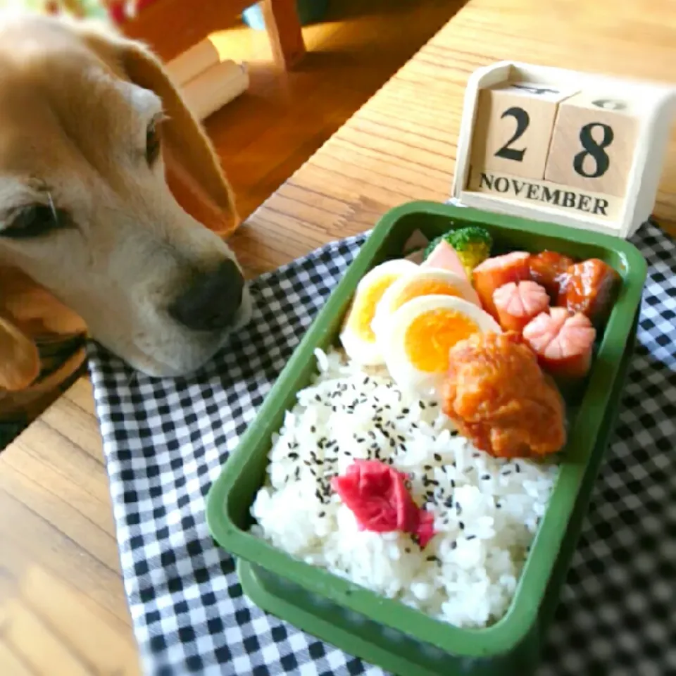 今日のお弁当|ふ〜たん**さん