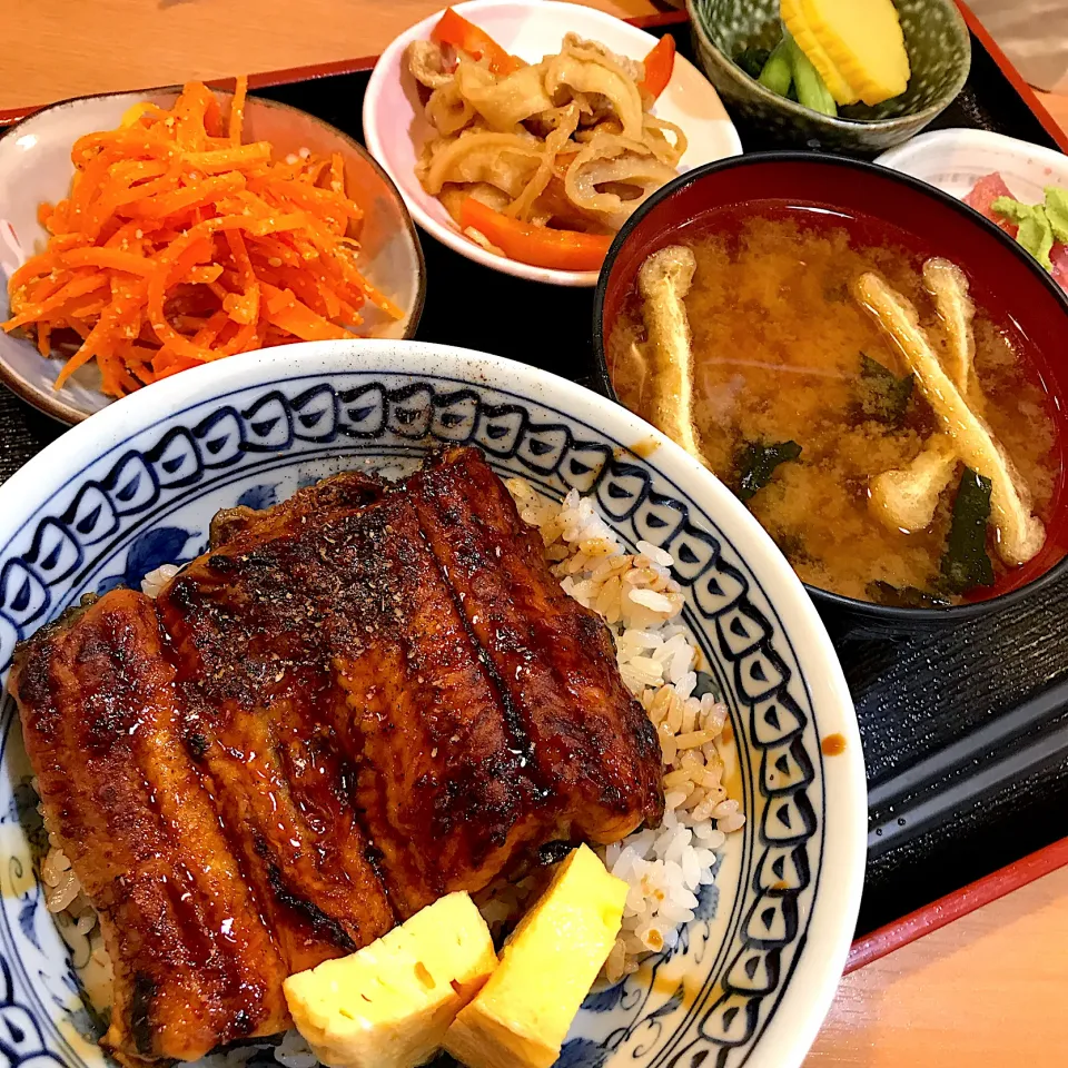 Snapdishの料理写真:うなぎ丼@わさび(月島)|塩豚骨さん