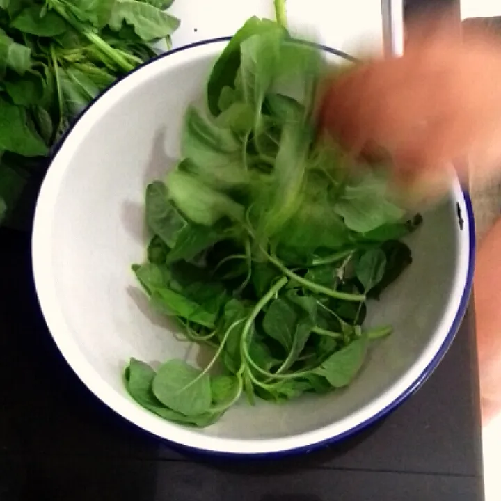 SPINACH HWOWH|EKARESTIさん