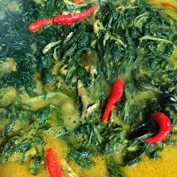 Snapdishの料理写真:sayur daun singkong|phoebeさん