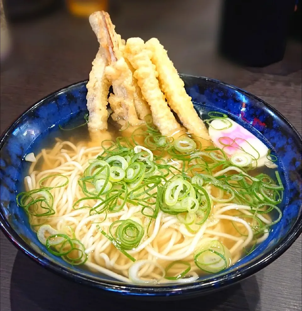 ごぼう天うどん(細めん)|哲さん