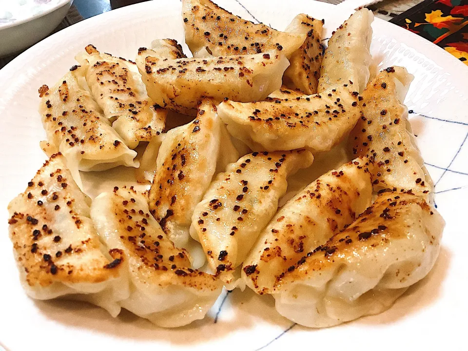 餃子🥟さん😋|アライさんさん