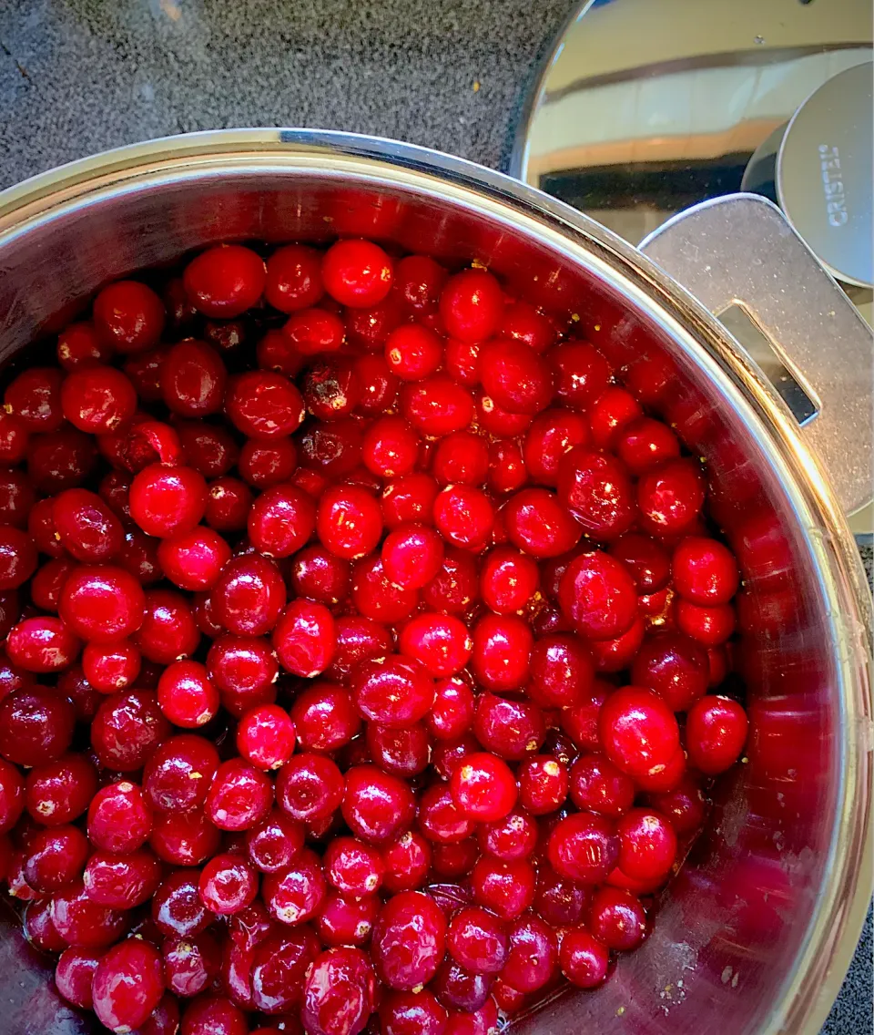 Snapdishの料理写真:Making Cranberry Sauce|gonbenさん