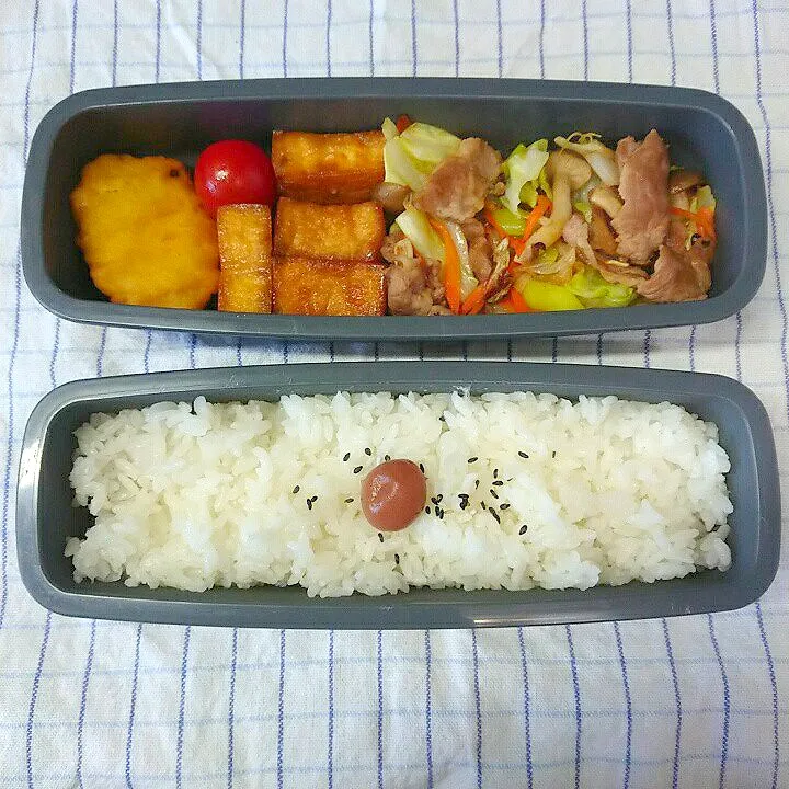 肉野菜炒め弁当|jun(・x・)さん